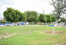 Cuadrilla de Parques y Jardines en acción