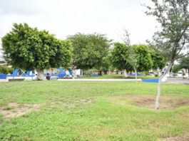 Cuadrilla de Parques y Jardines en acción