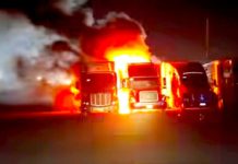 Arden trailers en pensión deja cuantiosos daños materiales