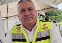 Tema de cocodrilos será abordado en la mesa de seguridad de Tamaulipas