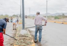 Realizan mantenimiento de camellón del Parque del Soldado