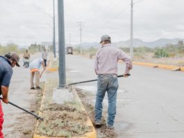 Realizan mantenimiento de camellón del Parque del Soldado