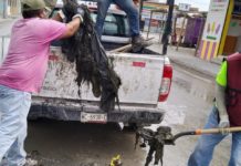 Realizó COMAPA labores de limpieza de pozos en el fraccionamiento Balcones de Alcalá