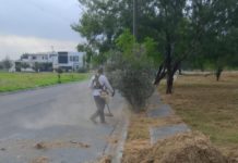 Atienden cuadrillas del Gobierno de Reynosa limpieza, bacheo y alumbrado público