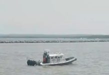 Detectan cocodrilo de casi tres metros en el río, a la altura de la escollera en Playa Miramar