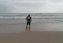 Continúa la búsqueda de cocodrilo en Playa Miramar