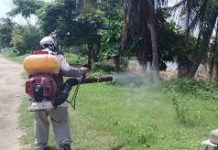 Refuerzan campaña permanente contra el dengue en Ciudad Madero