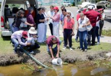 Impulsa Mónica Villarreal Conservación de Fauna Acuática en el Sistema Lagunario de Tampico