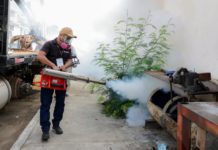 Encabeza Mónica Villarreal Nueva Jornada de Limpieza y Combate al Dengue