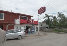 Perros agresivos y cocodrilos aterrizando a vecinos en el norte de Ciudad Madero