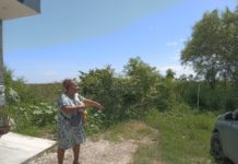 Vecinos de La Joya viven con miedo por presencia de cocodrilos