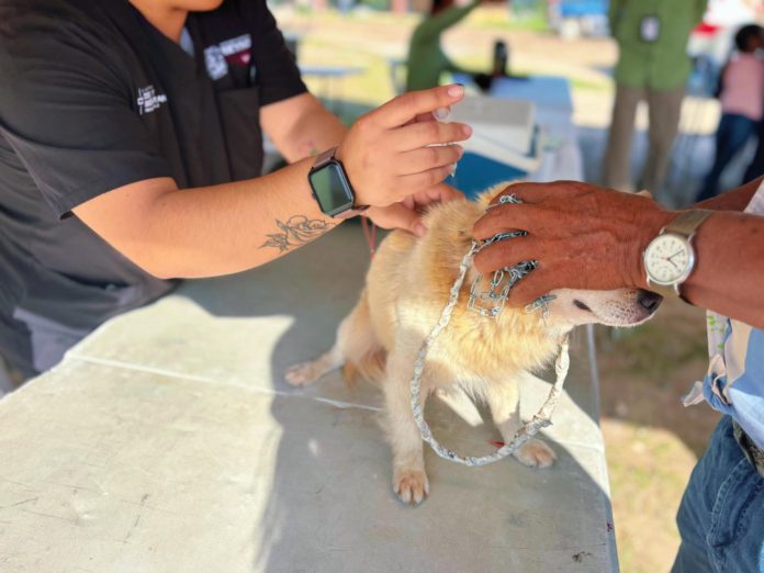 Imagen de WhatsApp 2025-07-07 a las 12.44.50_2e121cd0