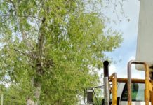 Atendió Gobierno de Carlos Peña Ortiz necesidades del ejido Nuevo Santana