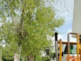 Atendió Gobierno de Carlos Peña Ortiz necesidades del ejido Nuevo Santana