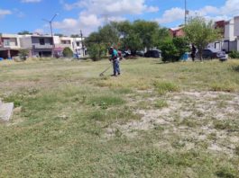 Promueve Gobierno de Reynosa la armonía vecinal con plazas limpias