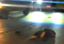 Unidad médica auxilia a persona atropellada en tétrica vialidad