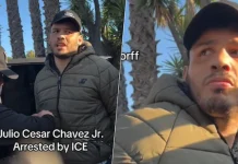 Así fue la detención de Julio César Chávez Jr. en EU, con cadenas y en calma