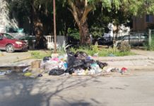 Exhortan a la población a sacar su basura solo cuando pasa el camión recolector