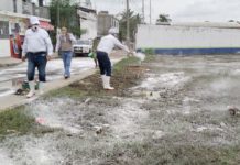 Para evitar infecciones COEPRIS realiza diversas acciones de saneamiento en la Moscú