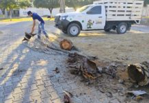 Cuida Gobierno de Reynosa espacios de convivencia