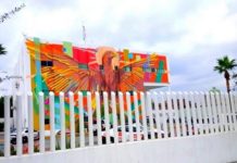 Arrestan a alocado sujeto por alterar el orden