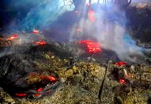 Bomberos acuden a sofocar incendio en pastizal en apartada colonia popular