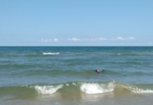 Ignoran recomendaciones de salvavidas y ponen en riesgo a menores en Playa Miramar