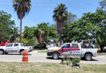 Conflicto entre rodanteros y autoridades genera detenciones, golpes y bloqueos