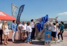 Torneo Internacional del Sábalo, Fortaleza Histórica en el Turismo Deportivo de Tampico: Mónica Villarreal