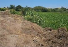 Madero enfrenta problema por relleno ilegal de lagunas; Interpone dos denuncias