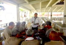 Integran a población interna de CEDES a programas sociales del Gobierno Federal