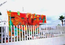 Mujer denuncia a su pareja sentimental por agresivo