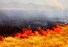 Reportan incendio en carretera deja solo daños materiales