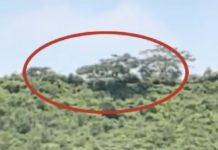 Supuesto OVNI sorprende a habitantes de Metepec a plena luz del día: VIDEO