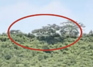 Supuesto OVNI sorprende a habitantes de Metepec a plena luz del día: VIDEO