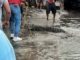 Vecinos de la calle Linares en Ciudad Madero capturan enorme cocodrilo