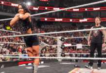 El beso de AJ Lee que terminó con el reinado mundial de Daniel Bryan en 15 segundos