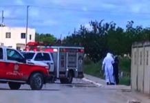 Enjambre de abejas picoteada a persona y es auxiliada por unidad medica