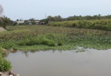 Arranca rehabilitación de lagunas en Ciudad Madero con inversión histórica.