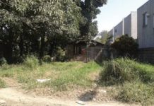 Atienden denuncias por lotes baldíos con maleza en Ciudad Madero