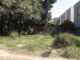 Atienden denuncias por lotes baldíos con maleza en Ciudad Madero