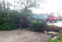 Lluvias generan afectaciones menores en Ciudad Madero
