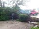Lluvias generan afectaciones menores en Ciudad Madero