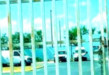 Indagan lo que se presume sean restos de personas en alejados predios