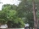 Lluvias provocan encharcamientos y caída de árbol en Ciudad Madero