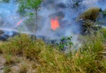 Reportan incendio en pastizal que dejo solo daños materiales