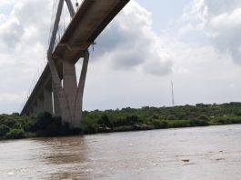 Levantan la alerta máxima por avenida del Pánuco, pasó el peligro en la zona sur