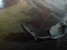 Chocan unidades y dejan cuantiosos daños en el Fraccionamiento Reynosa