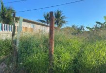 Solares baldíos representan foco de infección en Madero.