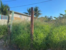 Solares baldíos representan foco de infección en Madero.